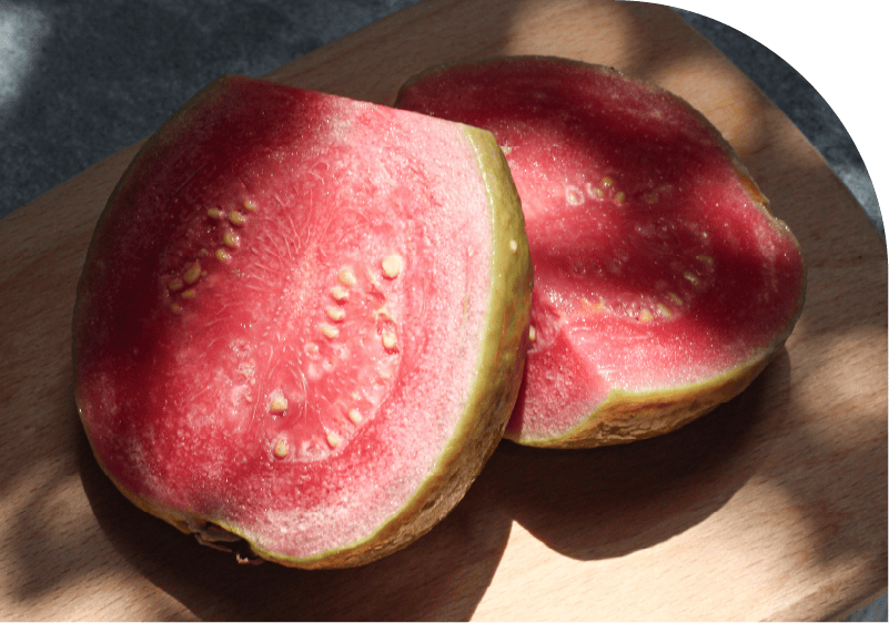 貝力岡冰淇淋堅持米其林主廚信仰「好菜從好食材開始」