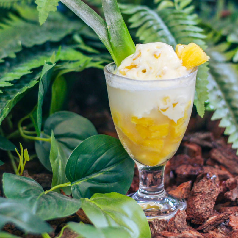 冰淇淋餐車 小量精緻生產、無囤貨風險